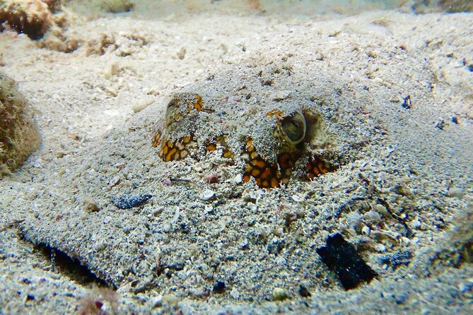 Diving for Certified Divers, 2 Tanks Sosúa Bay - Who will enjoy this Sosúa Bay outing