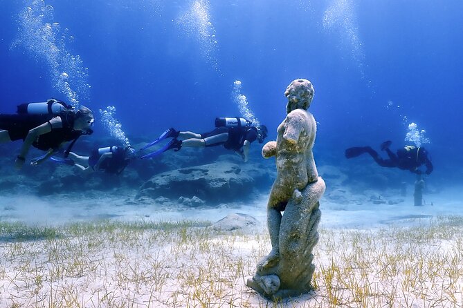 Diving for licensed divers - Why the four-person limit matters underwater