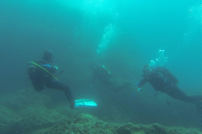 Diving for patented divers - Is the $157.28 price fair?