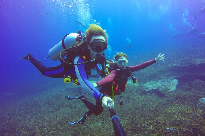 Diving Full Day 2 Stops Boat Trip For Beginners With Lunch and Transfer–Hurghada - What Your First Underwater Session Is Like