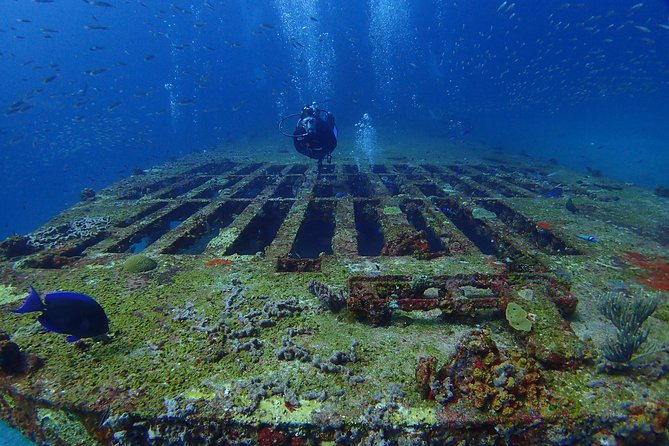 Diving in Cancun for Certified Divers | 2 Dives | All Inclusive - Weather, water movement, and flexible plans