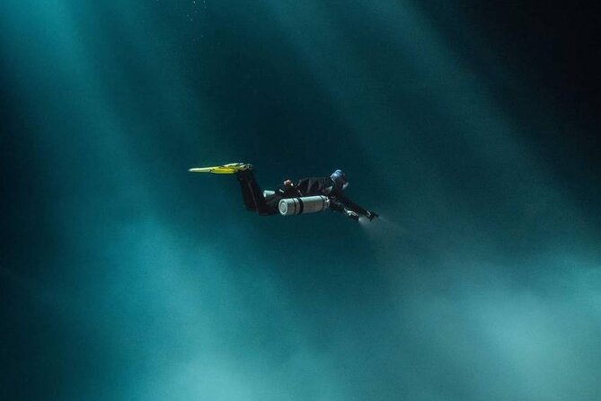 Diving in Cenotes: discovering the Mayan Underworld - Why cenotes feel different from open water