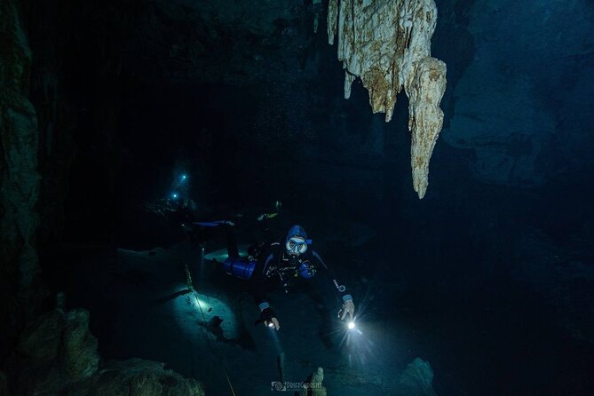 Diving in Cenotes: discovering the Mayan Underworld - What the $239.05 price means