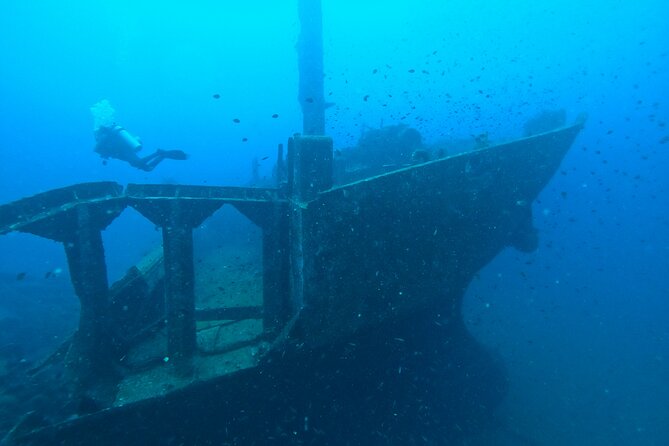 Diving in Colombo - Why Colombo’s wrecks make this outing different