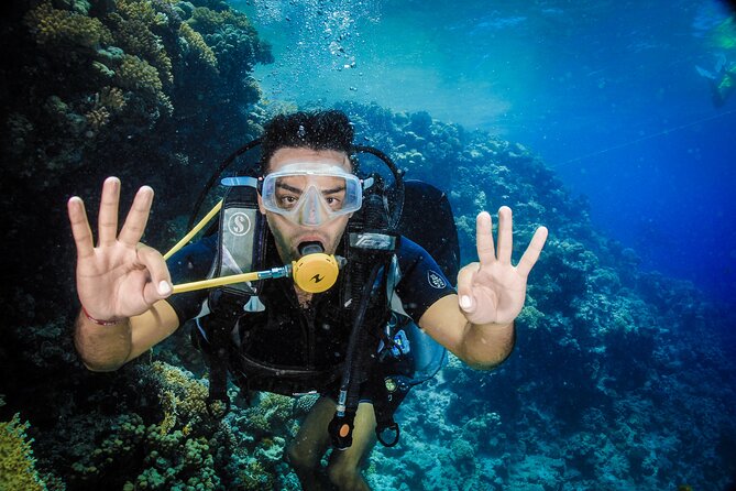 Diving in Hurghada for Beginners With Lunch and Transfer - A beginner-friendly morning from Hurghada