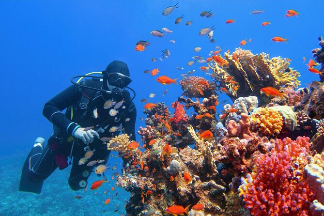 Diving in Hurghada for Beginners With Lunch and Transfer - Comfort on the boat