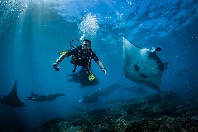 Diving in Nusa Penida - Why the manta ray area makes Nusa Penida special