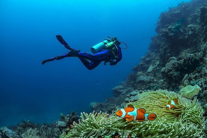 Diving in Nusa Penida - The instructors are an important part of the experience