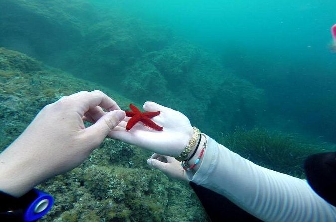 Diving in the Calanque Saint-Barthélemy - One person at a time, or the optional duo format