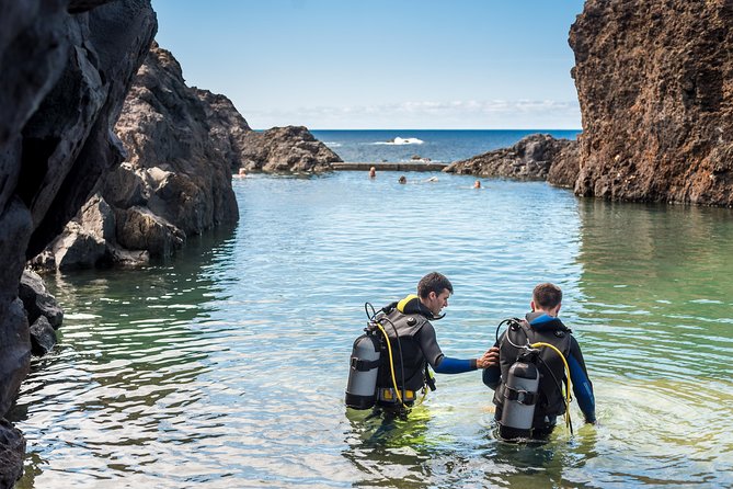 Diving in the Madeira Aquarium - Why this Madeira Aquarium experience is different