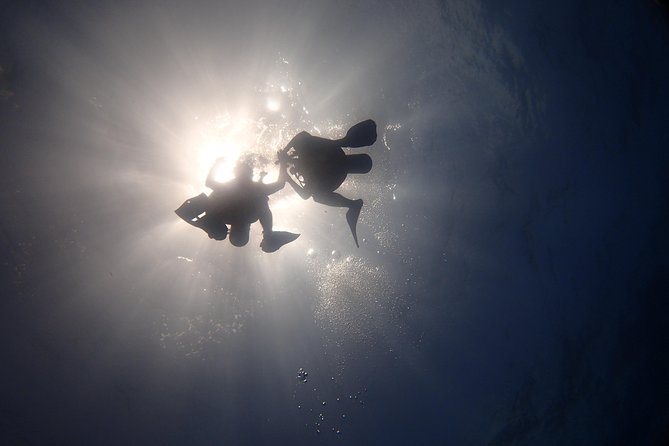 Diving in the Mexican Caribbean for Beginners | 2 Tanks 2 Dives | All Inclusive - Pool practice before the boat ride