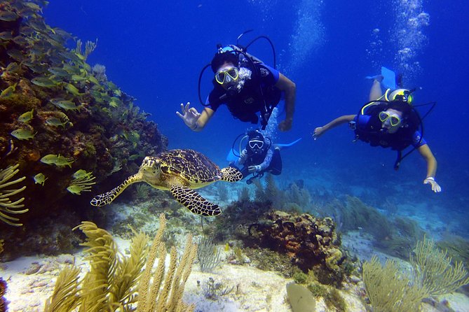 Diving in the Mexican Caribbean for Beginners | 2 Tanks 2 Dives | All Inclusive - The 30-minute boat ride to the first site