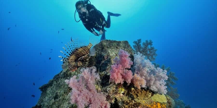 Diving in the North with Blue World Adventures - A First Scuba Lesson on Mauritius’s North Coast