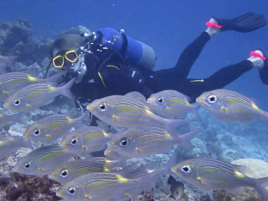 Diving in the North with Blue World Adventures - Who Will Enjoy This Most
