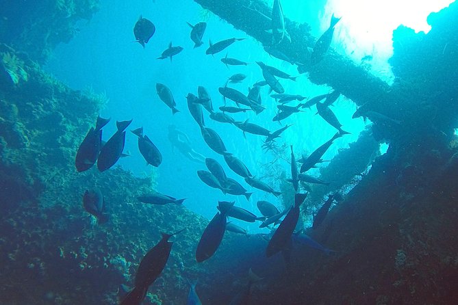 Diving in Tulamben - Key points to know before booking
