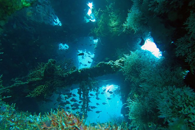 Diving in Tulamben - Who should choose this Tulamben trip