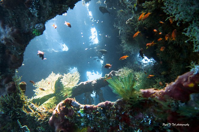 Diving in Tulamben - Two shore entries at the Liberty wreck