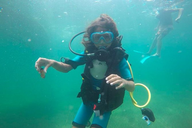Diving initiation (Initiation) - A short theory briefing that earns its place