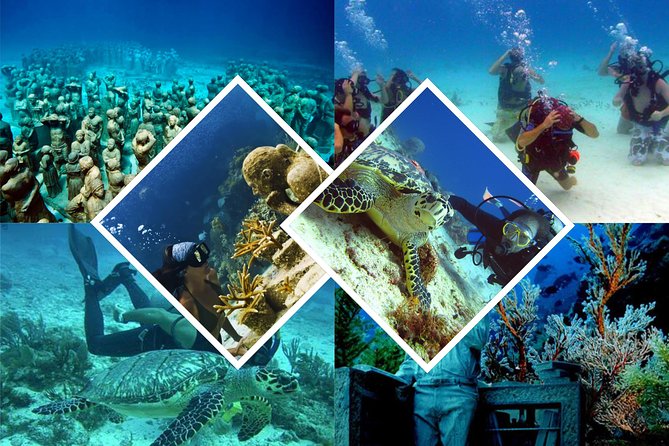 Diving + Muse - Who will get the most from this outing