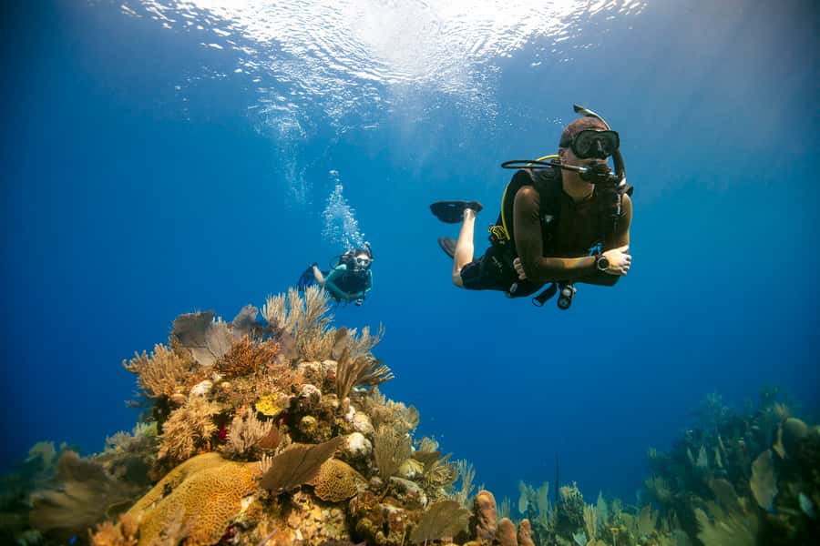 Diving Santa Marta & Tayrona for Certified Divers (2 tanks) - Reaching Tayrona by boat