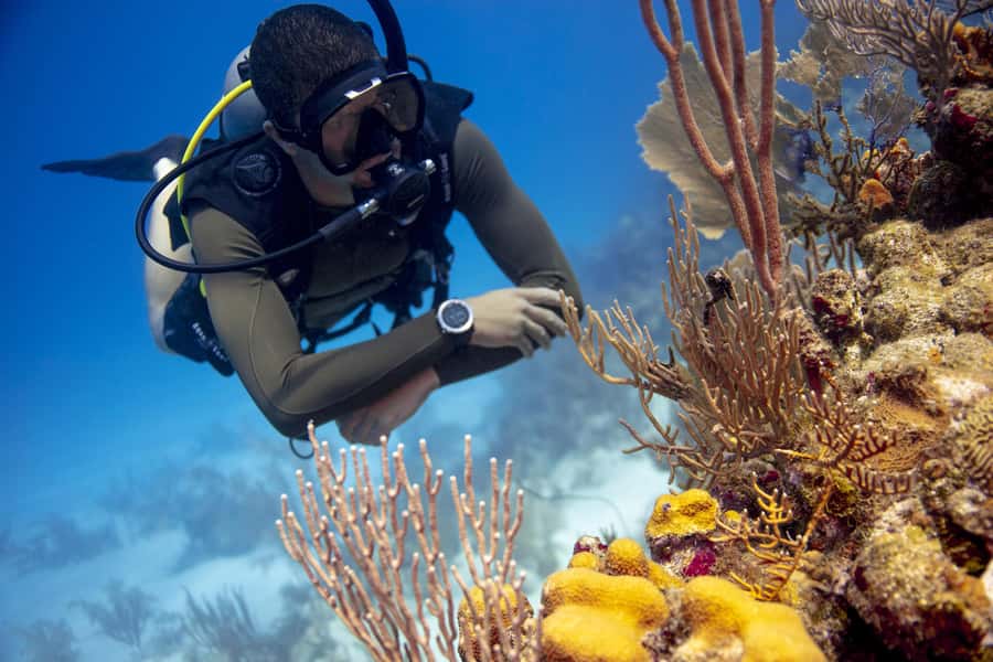 Diving Santa Marta & Tayrona for Certified Divers (2 tanks) - Equipment checks matter more than usual