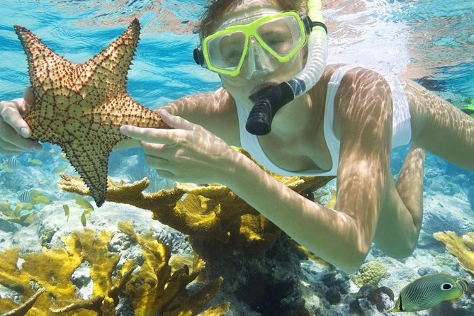Diving & Snorkeling Boat trip to Tiran Island Sharm El Sheikh - Why Tiran Strait is the main event