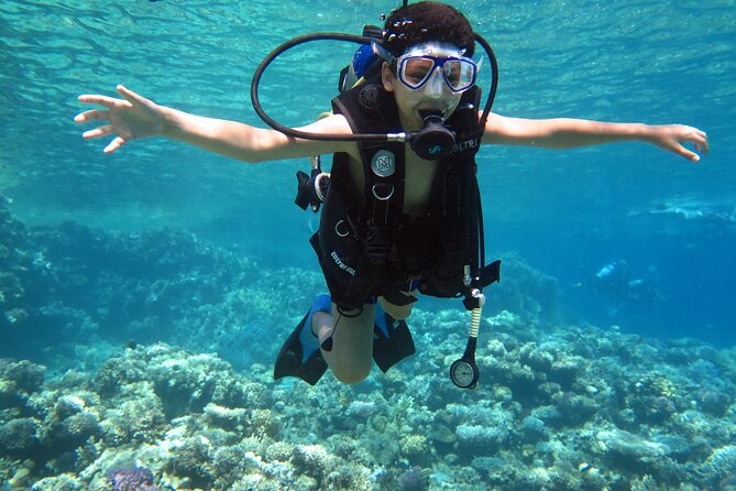 Diving & Snorkeling Boat trip to Tiran Island Sharm El Sheikh - What the $40 price really covers