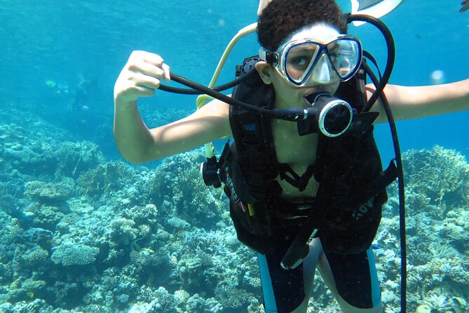 Diving & Snorkeling Boat trip to Tiran Island Sharm El Sheikh - The morning pickup from Sharm El Sheikh