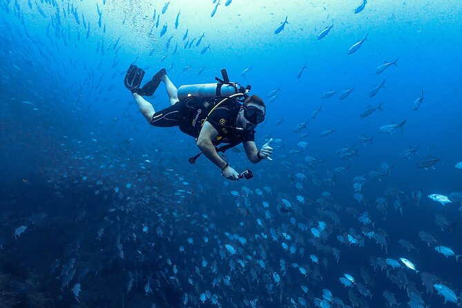 Diving Tour for Certified Divers: Sail Rock or Koh Tao - What the day feels like on the water