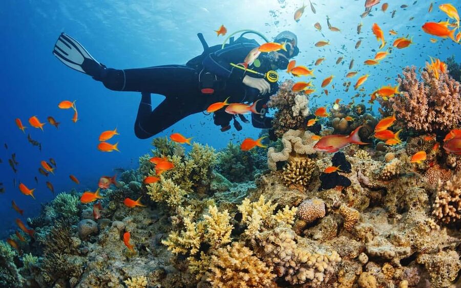 Diving Tour from Alanya & Side with Lunch - 2 Dives Included - Getting Ready for the First Descent