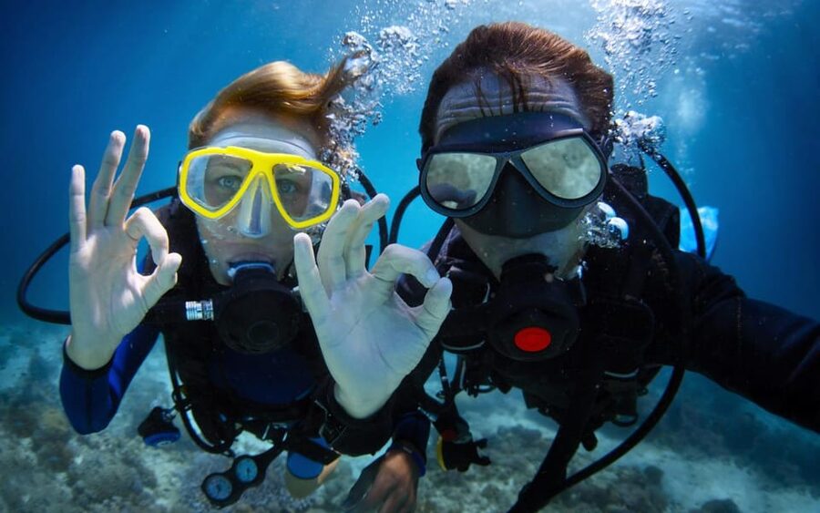 Diving Tour from Alanya & Side with Lunch - 2 Dives Included - The Second Session at About 12 Meters