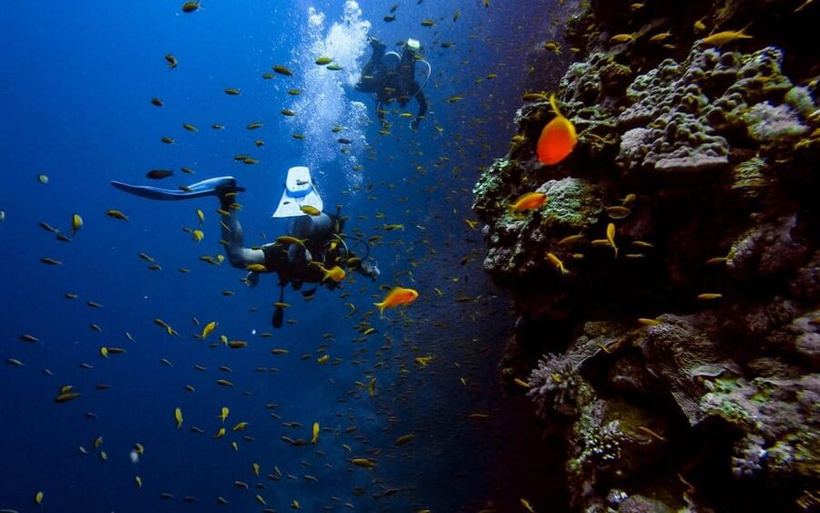 Diving Tour from Alanya & Side with Lunch - 2 Dives Included - Is This Suitable for a First-Time Participant?