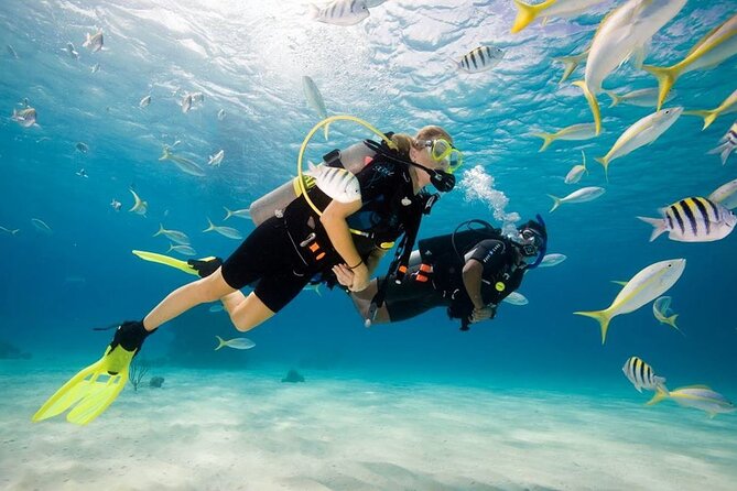 Diving Tour from Antalya or Kemer with Lunch - Key Points at a Glance
