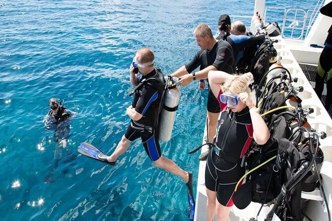 Diving Tour from Antalya or Kemer with Lunch - Two Mediterranean Bays in About Six Hours