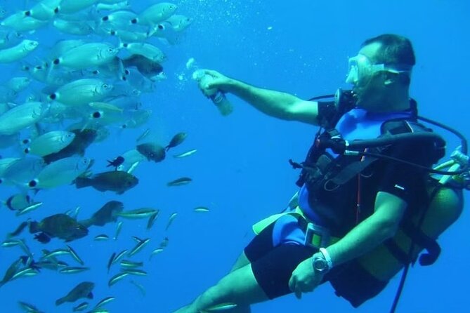 Diving Tour from Antalya or Kemer with Lunch - Weather, Cancellations, and Communication