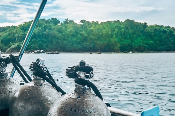 Diving tour in Isla del Caño for certified divers - Key points to know before you book