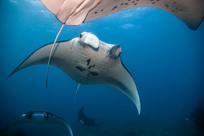 Diving with Manta Ray at Nusa Penida - Getting to the water from Banjar Nyuh Port