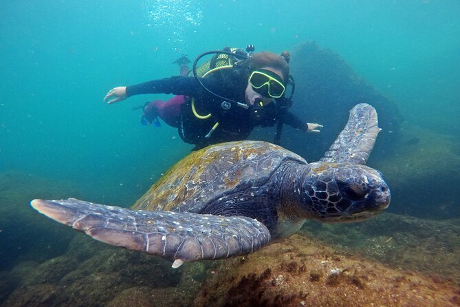 Diving with Turtles in Floripa - The boat ride to Xavier Island