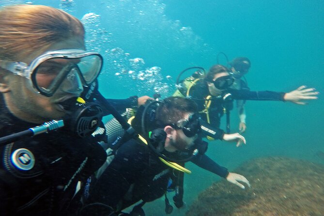 Diving with Turtles in Floripa - What the $97.82 price really covers