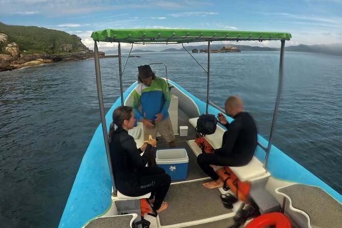 Diving with Turtles in Floripa - Weather, cancellations, and timing