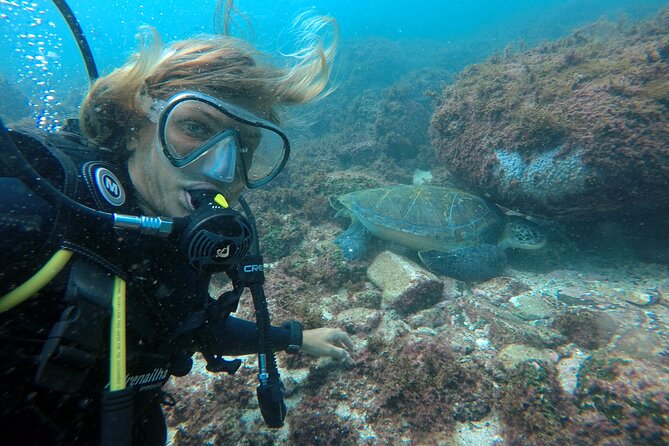 Diving with Turtles in Floripa - A 30-minute underwater session for beginners