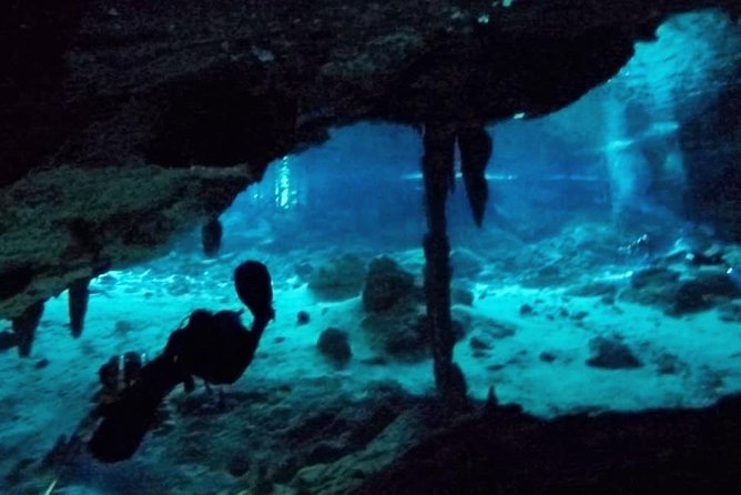 Dos Ojos Cenote Cavern Dive- The Barbie Line and The Bat Cave - Why Dos Ojos feels different from an ordinary water outing