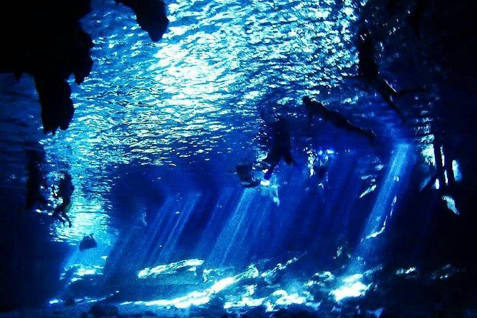 Dos Ojos Cenote Cavern Dive- The Barbie Line and The Bat Cave - Equipment, snacks, and physical demands