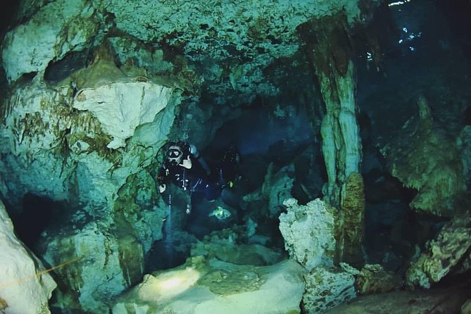 Dos Ojos Cenote Cavern Dive- The Barbie Line and The Bat Cave - Meeting at 8:00 am in central Tulum