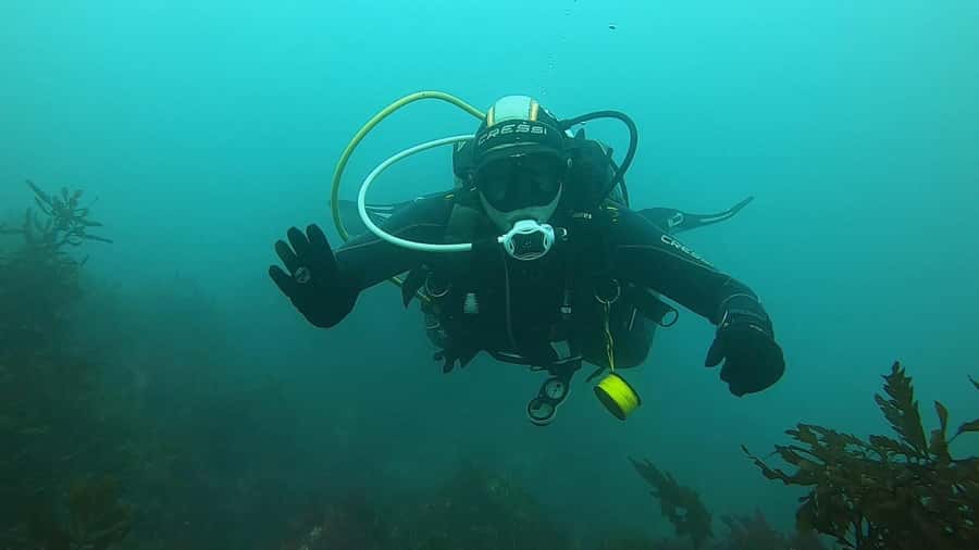 Double Boat Dive with Equipment - Who should book this Kaikoura boat trip