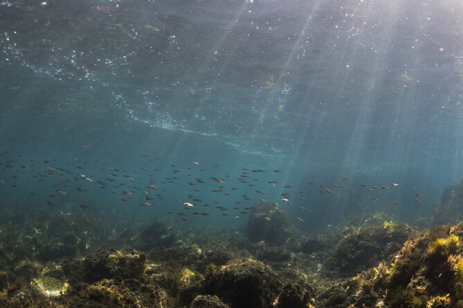 Double Discover Scuba Diving - The price and what you are really paying for
