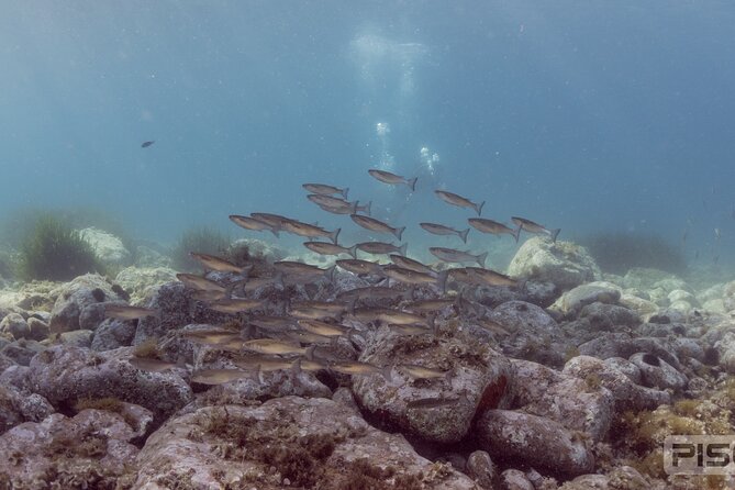 Double Discover Scuba Diving - The short theory lesson before the sea