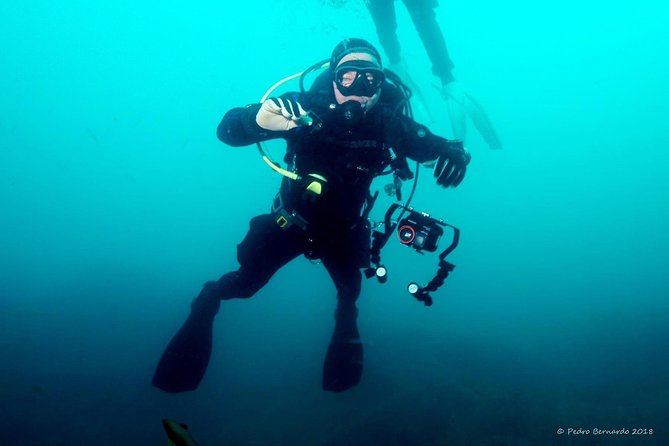 Double dive in the Algarve. Don't stop on the beach! - From Albufeira Marina to the Algarve seafloor