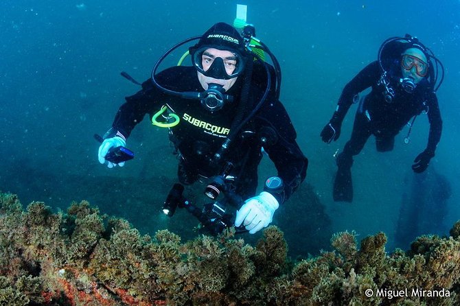 Double dive in the Algarve. Don't stop on the beach! - Choosing a site for your interests