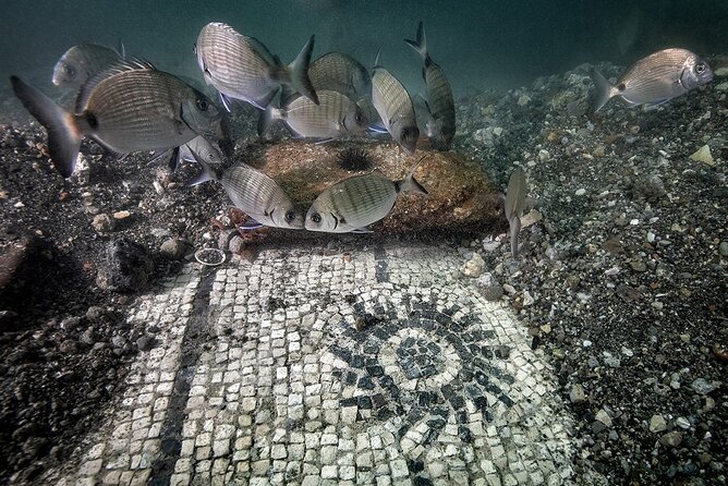 Double Dive in the Bay Park for certified divers - Baiae and the park’s protected archaeology